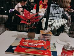 -眉州东坡(民族园店)
