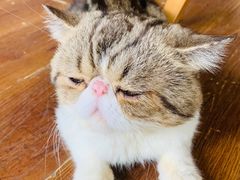 -参差咖啡(水果湖公园店)