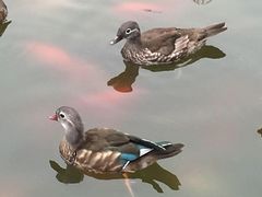-西安曲江寒窑遗址公园