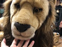 -珠海横琴国家地理探险家中心(创新方)