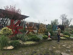 -上海长兴岛郊野公园