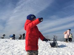 -绿野森林乐园冰雪季