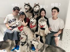 -Husky Go!哈士奇体验馆·宠物咖啡厅狗咖