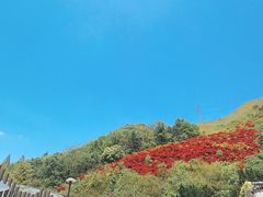 -鹿亭中村