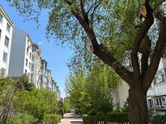 -长白岛森林公园