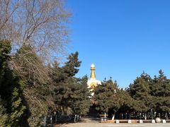 -北陵公园