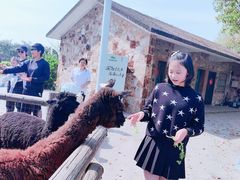 -苏州太湖西山岛开心农场