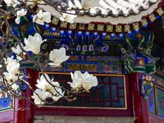 -西安市广仁寺