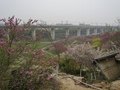 -秀丽东方