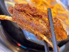 -九寨特色牦牛肉汤锅 羊肉汤锅