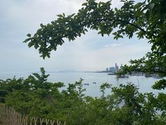 -小麦岛公园