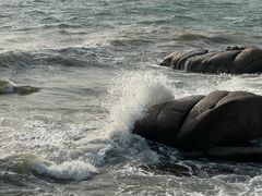 -青岛朗艺美术馆·海景咖啡