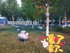 -九十九顶毡房(阜石路店)