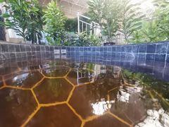 -兴芮温泉度假区