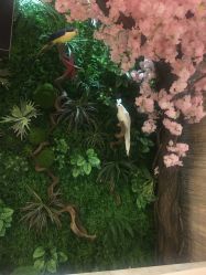 点击看大图 -逸丝风尚