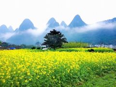 -万峰林风景区