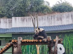 -南昌动物园