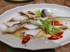 -大浪潮·潮汕菜·招牌生腌小青龙(福田店)