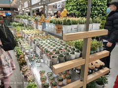 -鹿岛生活(熙地港店)