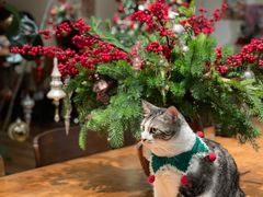 -echoes coffee回响咖啡(888街店)