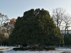 -灵谷景区