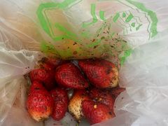 -雪儿钱局泡菜