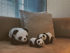 -成都尼依格罗酒店