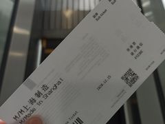 -上海当代艺术博物馆