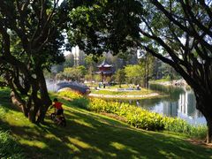 -四海公园(南山区)