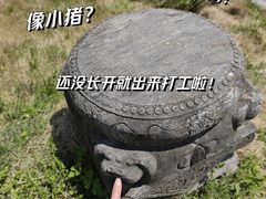 -杭州植物园