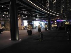 -北京丽晶酒店