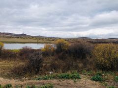 -塞罕坝国家级自然保护区