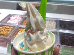 -Salud撒露欧洲冻酸奶(北苑上品店)