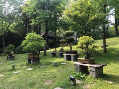 -扬州大运河文化旅游度假区·盆景园