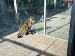 -西霞口神雕山野生动物世界