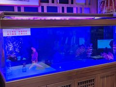 -老江南春·中国龙菜(衡山路店)