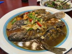 -呼吸森林·生态农庄农家乐私房菜