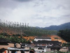 -云水谣景区