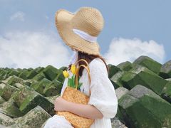 -南汇嘴观海公园