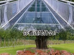 -盈香心动乐园