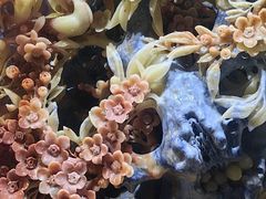 -龙泉青瓷博物馆