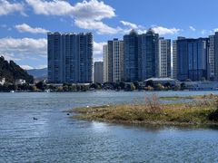 -洱海月湿地公园