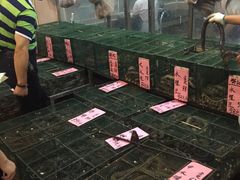 -荔城生鲜盛宴(番禺旗舰店)