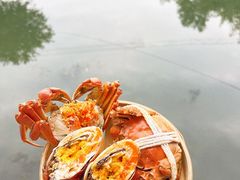-欢乐蟹庄·精品农家乐(阳澄湖莲花岛店)