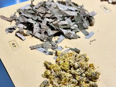 -广东中医药博物馆