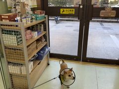 -瑞鹏宠物医院·宠保定点·心脏科·内科(御桥分院)