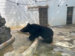-广东茂名森林公园