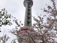 -东方明珠广播电视塔