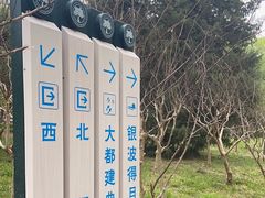 -元大都城垣遗址公园