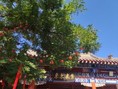 -千佛山风景名胜区